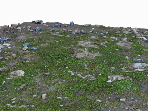 ground pack 3D Модель