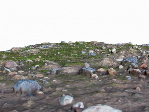 ground pack 3D Модель