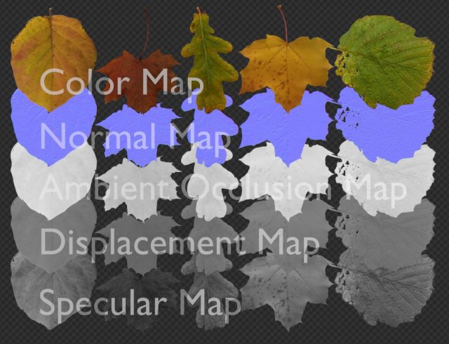 5 leaves texture pack CG टेक्स्चर्स .c4d .max .obj .3ds .fbx .stl .blend 