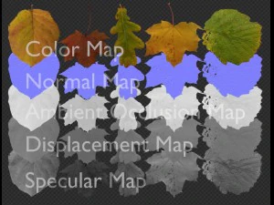 Pacchetto texture da 5 foglie CG Textures