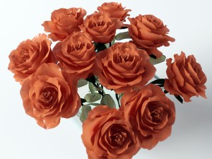 rose orange 3D Model