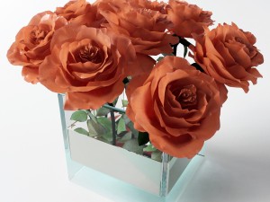 rose orange 3D Model