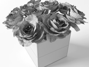 rose orange 3D Model