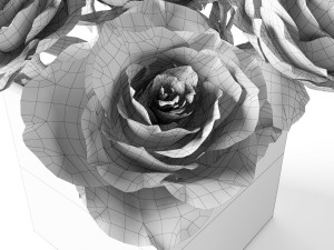 rose orange 3D Model