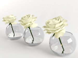 roses white in a glass vessel 3D मॉडल