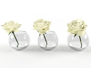roses white in a glass vessel 3D मॉडल