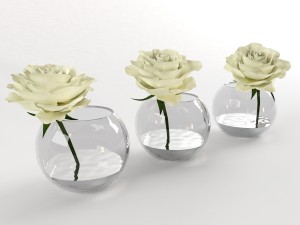 roses white in a glass vessel 3D मॉडल