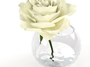roses white in a glass vessel 3D मॉडल