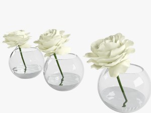 roses white in a glass vessel 3D मॉडल