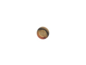cigar 3D Model