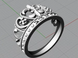 v001 diadema ring 3D Print Model