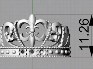 v001 diadema ring 3D Print Model