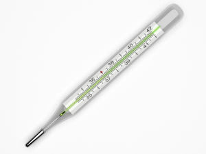 thermometer 3D Model