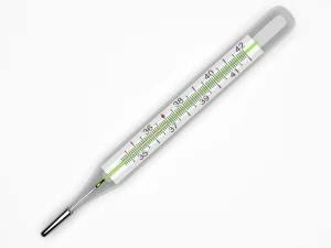 Thermometer 3D Modell