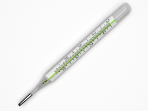 thermometer 3D Model