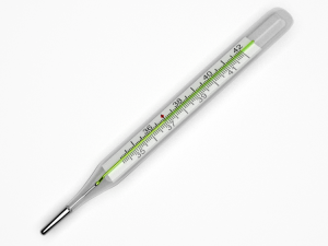 thermometer 3D Model