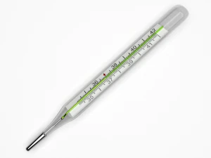thermometer 3D Model