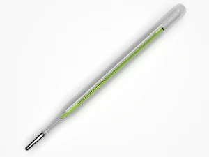 thermometer 3D Model