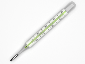 thermometer 3D Model