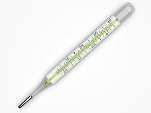 thermometer 3D Model