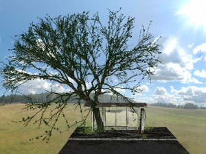apocalyptic bus stop Modelo 3D