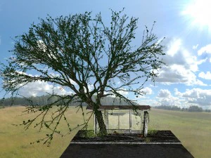 apocalyptic bus stop 3D Model