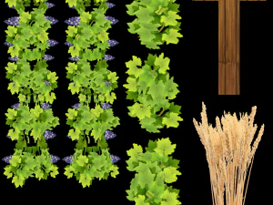 farm rome 3D Model