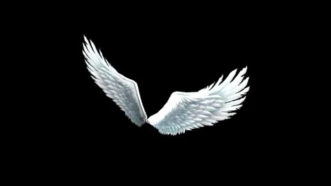 bird angel wing 3D Model .c4d .max .obj .3ds .fbx .stl .blend 