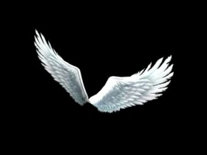 sayap malaikat burung Model 3D