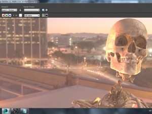 human skeleton Modèle 3D