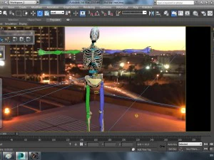 human skeleton 3D Model