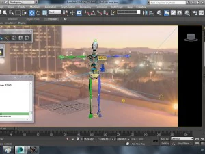 human skeleton 3D Model