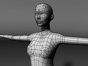 base human meshes regular body type pack 3D Model