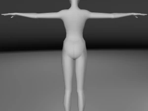 base human meshes regular body type pack 3D Model