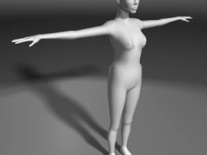 base human meshes regular body type pack 3D Model