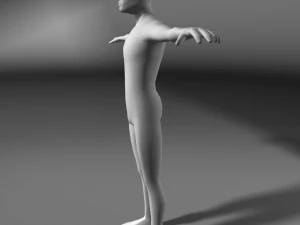 base human meshes regular body type pack 3D Model