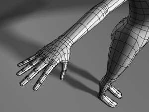 base human meshes regular body type pack 3D Model