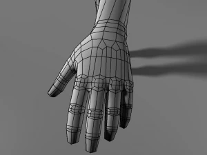 base human meshes regular body type pack 3D Model