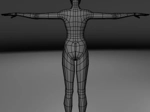 base human meshes regular body type pack 3D Model