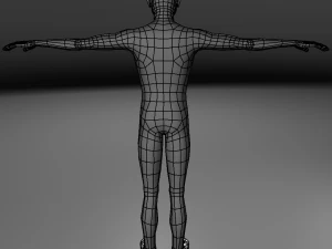 base human meshes regular body type pack 3D Model