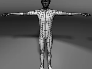 base human meshes regular body type pack 3D Model