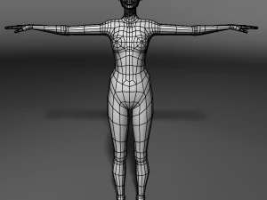 base human meshes regular body type pack 3D Model