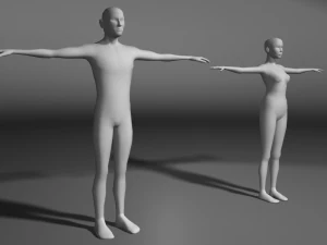 base human meshes regular body type pack 3D Model