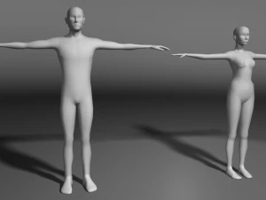 base human meshes regular body type pack 3D Model