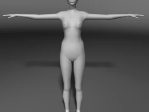 base human meshes regular body type pack 3D Model