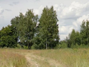 hdr image CG Textures