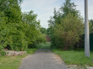 hdr image 3D Модель