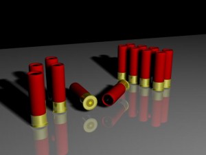 shotshells Modèle 3D