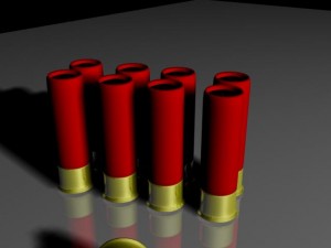 shotshells Modèle 3D
