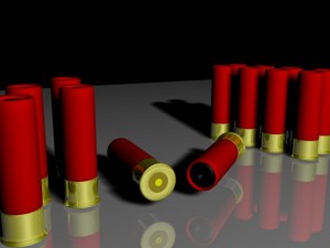 shotshells Modèle 3D